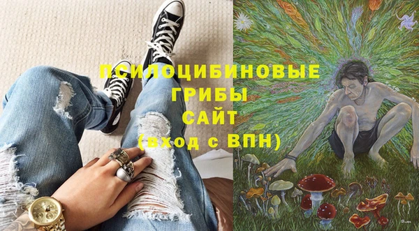 дмт Михайловск