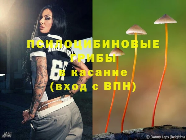 дмт Михайловск