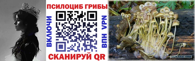 Галлюциногенные грибы Cubensis  Ялуторовск 