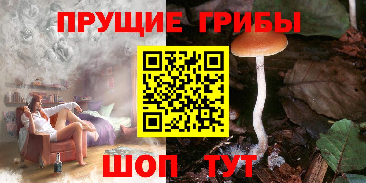 Ялуторовск  Галлюциногенные грибы Psilocybine cubensis  Псилоцибиновые грибы Magic Shrooms  где купить наркоту  Вход с VPN 