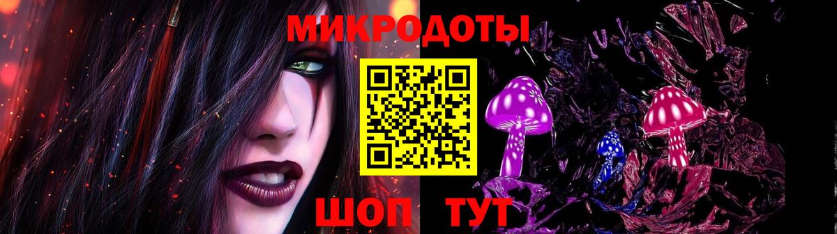 Псилоцибиновые грибы Cubensis Ялуторовск